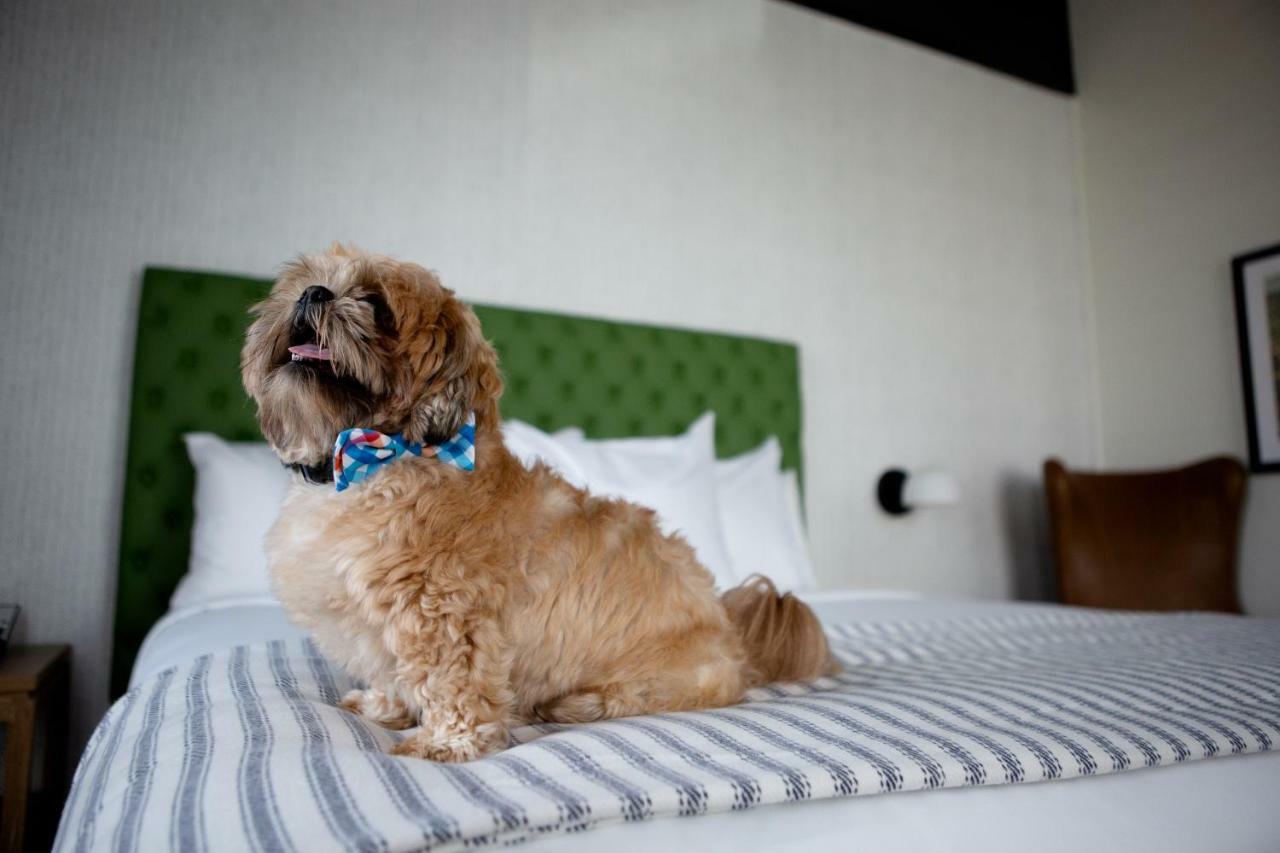 Origin Lexington, A Wyndham Hotel Ngoại thất bức ảnh